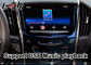 Cadillac ATS/SRX/CTS/XTS CUE 체계를 위한 튼튼한 차 와이파이 표준 Mirabox